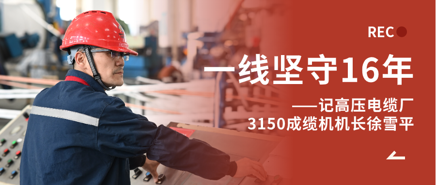 徐雪平：匠“成”于心，十六年筚路“缆”缕