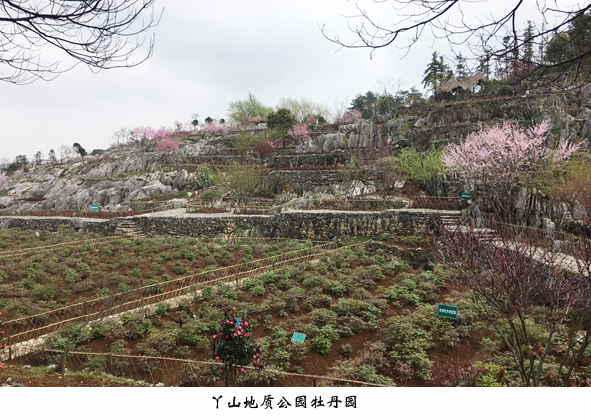 XPJ·(澳门区)公司官方网站